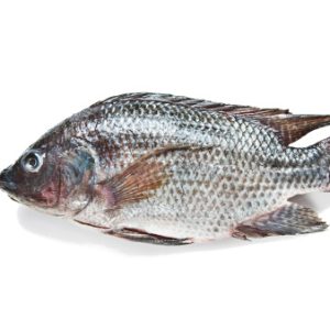 Mojarra