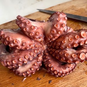 Pulpo